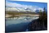 Athabasca River, Jasper National Park, Alberta, Canada-Richard Wright-Stretched Canvas