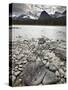 Athabasca River, Jasper National Park, UNESCO World Heritage Site, Alberta, Canada, North America-James Hager-Stretched Canvas