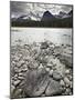 Athabasca River, Jasper National Park, UNESCO World Heritage Site, Alberta, Canada, North America-James Hager-Mounted Photographic Print