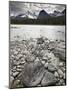 Athabasca River, Jasper National Park, UNESCO World Heritage Site, Alberta, Canada, North America-James Hager-Mounted Premium Photographic Print