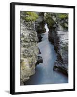 Athabasca River-Jim Zuckerman-Framed Photographic Print