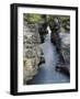 Athabasca River-Jim Zuckerman-Framed Photographic Print