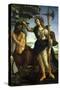 Athena and Centaur, 1482-Sandro Botticelli-Stretched Canvas