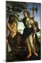 Athena and Centaur, 1482-Sandro Botticelli-Mounted Giclee Print