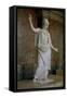Athena, Greek, Probably 5th Century BC-null-Framed Stretched Canvas