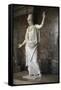 Athena or Minerva-null-Framed Stretched Canvas