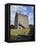 Athenry Castle, County Galway, Connacht, Republic of Ireland-Gary Cook-Framed Stretched Canvas