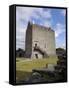 Athenry Castle, County Galway, Connacht, Republic of Ireland-Gary Cook-Framed Stretched Canvas