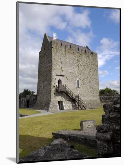 Athenry Castle, County Galway, Connacht, Republic of Ireland-Gary Cook-Mounted Photographic Print