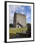 Athenry Castle, County Galway, Connacht, Republic of Ireland-Gary Cook-Framed Photographic Print