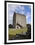 Athenry Castle, County Galway, Connacht, Republic of Ireland-Gary Cook-Framed Photographic Print