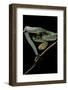 Atheris Chlorechis (Bush Viper)-Paul Starosta-Framed Photographic Print