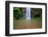 Atherton Tablelands, Queensland, Australia-Paul Dymond-Framed Photographic Print