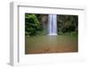 Atherton Tablelands, Queensland, Australia-Paul Dymond-Framed Photographic Print