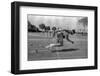 Athlete Training-null-Framed Photographic Print