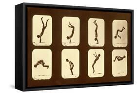 Athletes. Irregular from 'Animal Locomotion' Series, C.1881-Eadweard Muybridge-Framed Stretched Canvas
