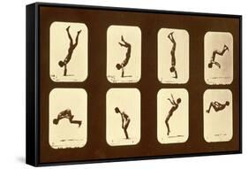 Athletes. Irregular from 'Animal Locomotion' Series, C.1881-Eadweard Muybridge-Framed Stretched Canvas