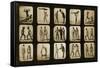 Athletes Posturing, from the 'Animal Locomotion' Series, C.1881-Eadweard Muybridge-Framed Stretched Canvas