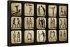 Athletes Posturing, from the 'Animal Locomotion' Series, C.1881-Eadweard Muybridge-Stretched Canvas