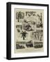 Athletic Sports by Boys of a Training Ship-null-Framed Giclee Print