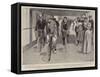 Athletic Sports on an Ocean Liner, the Bicycle Race-Frank Craig-Framed Stretched Canvas