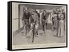 Athletic Sports on an Ocean Liner, the Bicycle Race-Frank Craig-Framed Stretched Canvas