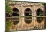 Athpula Eight Piers Stone Bridge, Reflection of Lodi Gardens, New Delhi, India-William Perry-Mounted Photographic Print