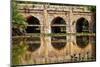 Athpula Eight Piers Stone Bridge, Reflection of Lodi Gardens, New Delhi, India-William Perry-Mounted Photographic Print