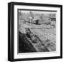 Atlanta, GA, Depot Destroyed on Sherman's Departure, Civil War-Lantern Press-Framed Art Print