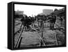 Atlanta, GA, Sherman's Men Tearing Up Railroad, Civil War-Lantern Press-Framed Stretched Canvas