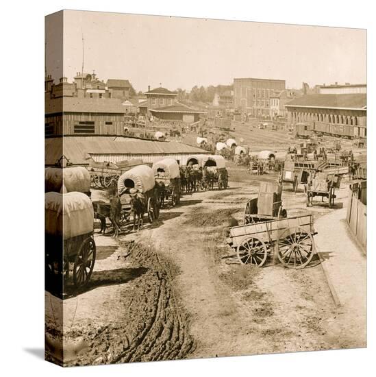 Stretched Canvas Print, , large