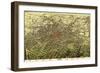 Atlanta, Georgia - Panoramic Map-Lantern Press-Framed Art Print