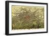 Atlanta, Georgia - Panoramic Map-Lantern Press-Framed Art Print