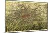 Atlanta, Georgia - Panoramic Map-Lantern Press-Mounted Art Print