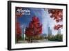 Atlanta, Georgia - Skyline and Park at Fall-Lantern Press-Framed Art Print