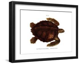 Atlantc Ridley-null-Framed Giclee Print