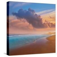 Atlantic Beach in Jacksonville East of Florida-Naturewolrd-Stretched Canvas