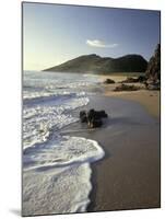 Atlantic Beach of St. Kitts, Caribbean-Robin Hill-Mounted Photographic Print