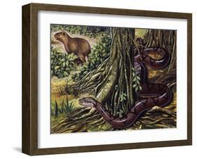 Atlantic Bushmaster (Lachesis Mutus), Viperidae-null-Framed Giclee Print