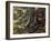 Atlantic Bushmaster (Lachesis Mutus), Viperidae-null-Framed Giclee Print