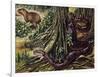 Atlantic Bushmaster (Lachesis Mutus), Viperidae-null-Framed Giclee Print