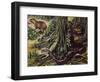 Atlantic Bushmaster (Lachesis Mutus), Viperidae-null-Framed Giclee Print