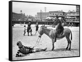 Atlantic City: Donkey-null-Framed Stretched Canvas