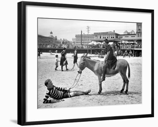 Atlantic City: Donkey-null-Framed Giclee Print