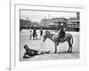 Atlantic City: Donkey-null-Framed Giclee Print