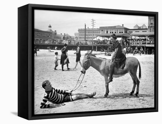 Atlantic City: Donkey-null-Framed Stretched Canvas