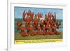 Atlantic City, New Jersey - Lobster King Harry Hackney with Lady Lobsters-Lantern Press-Framed Premium Giclee Print