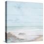 Atlantic Coast I-Michael Marcon-Stretched Canvas
