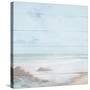Atlantic Coast I-Michael Marcon-Stretched Canvas