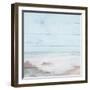 Atlantic Coast I-Michael Marcon-Framed Art Print